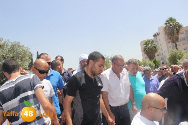 jaanzaa 0501 (22).JPG